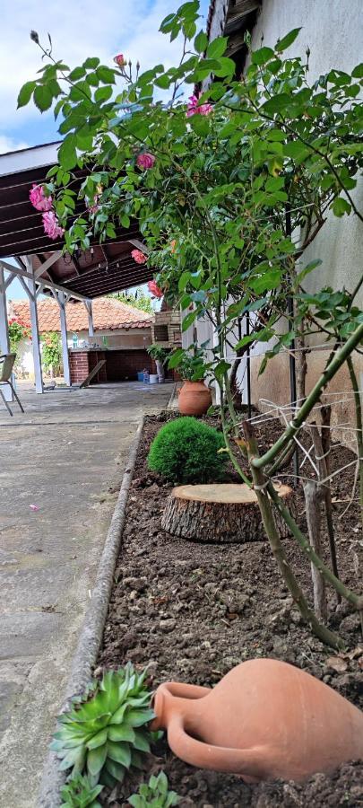 Guest House Palazzo Byala  Εξωτερικό φωτογραφία