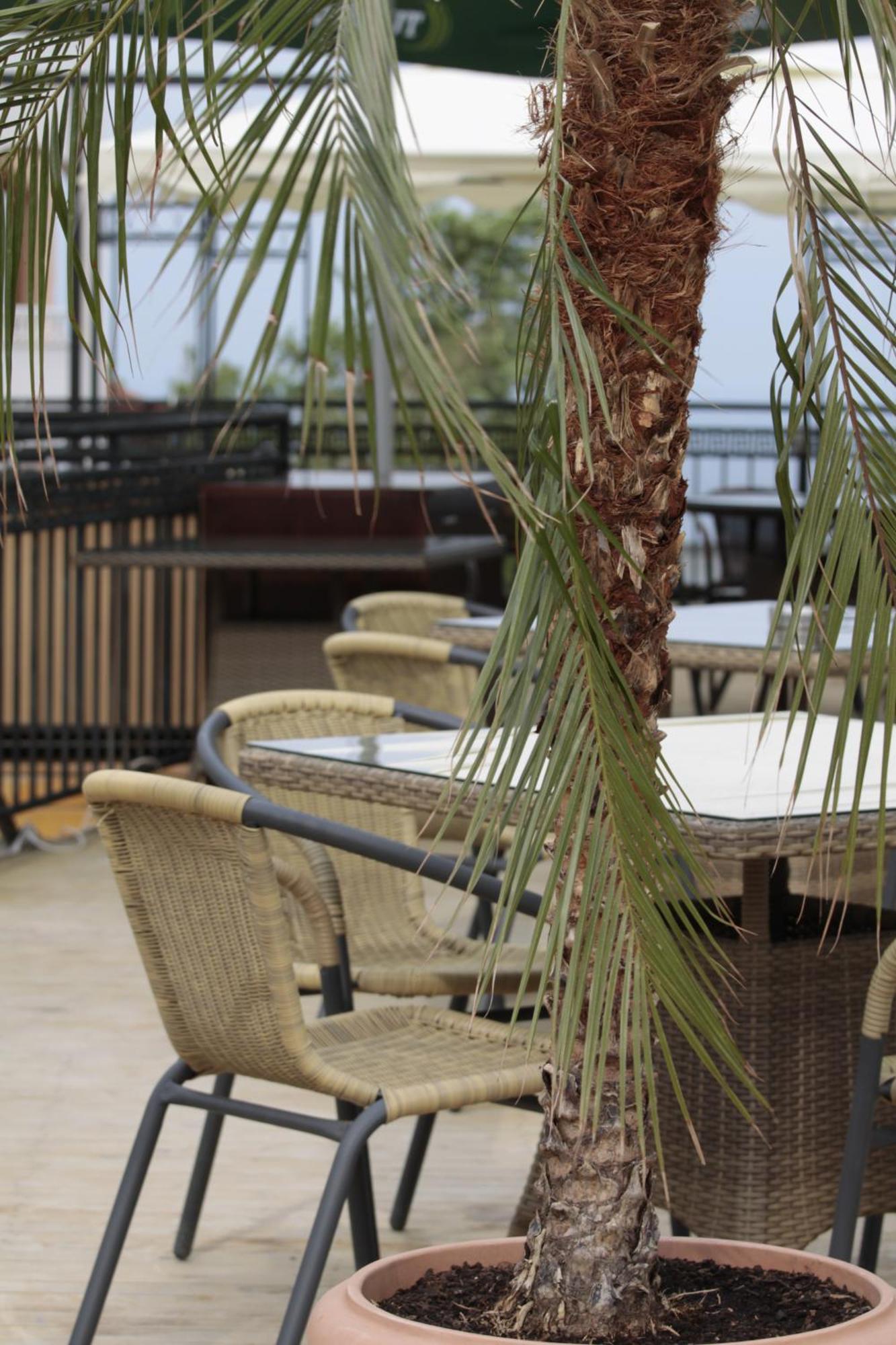 Guest House Palazzo Byala  Εξωτερικό φωτογραφία