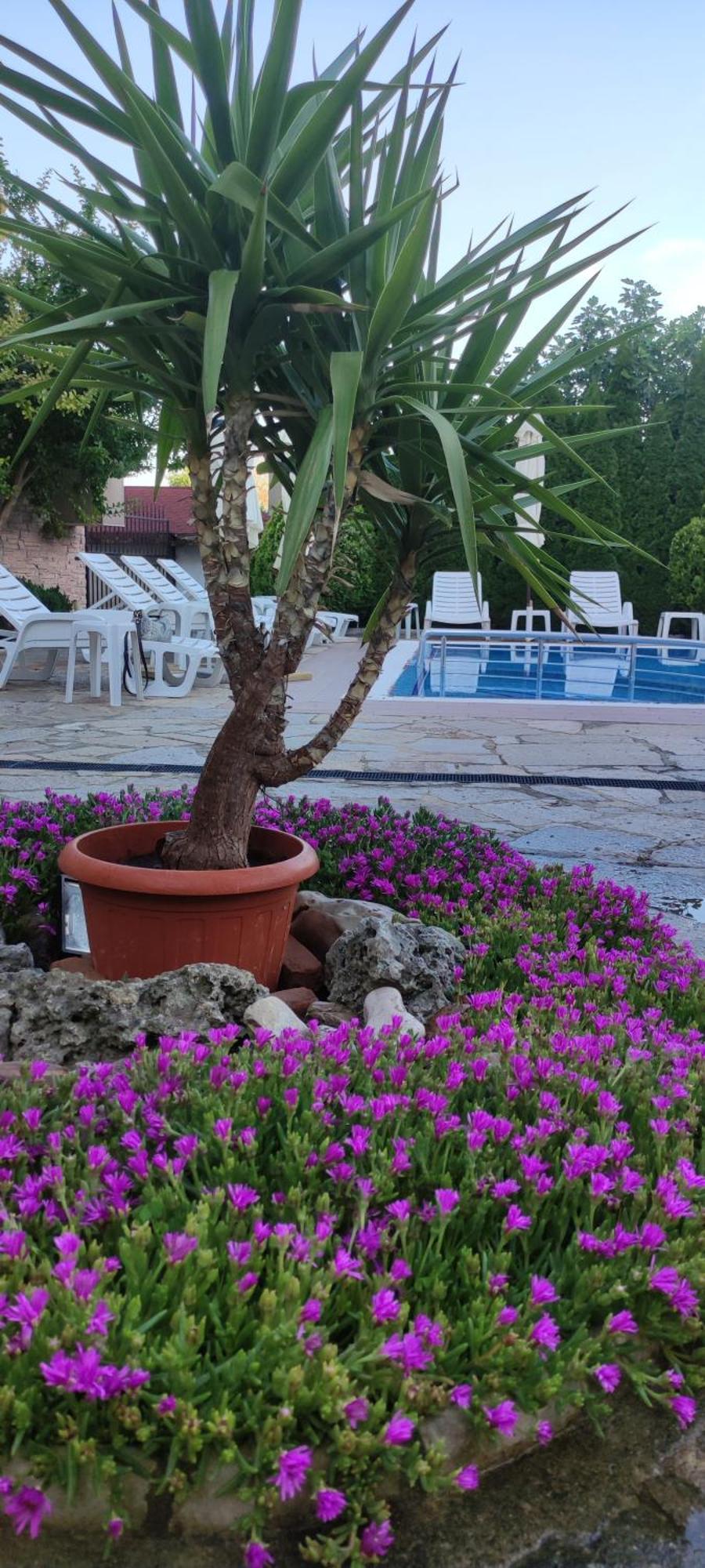 Guest House Palazzo Byala  Εξωτερικό φωτογραφία